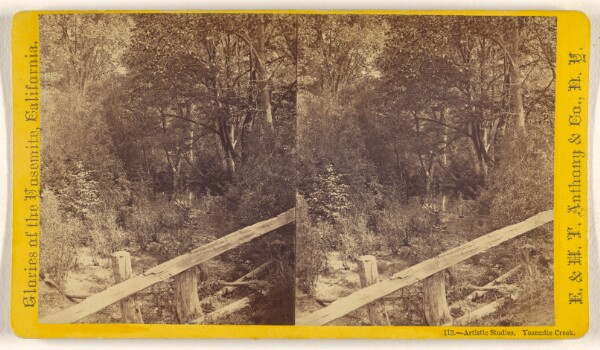 Edward and Henry T. Anthony & Co., Artistic Studies. Yosemite Creek.