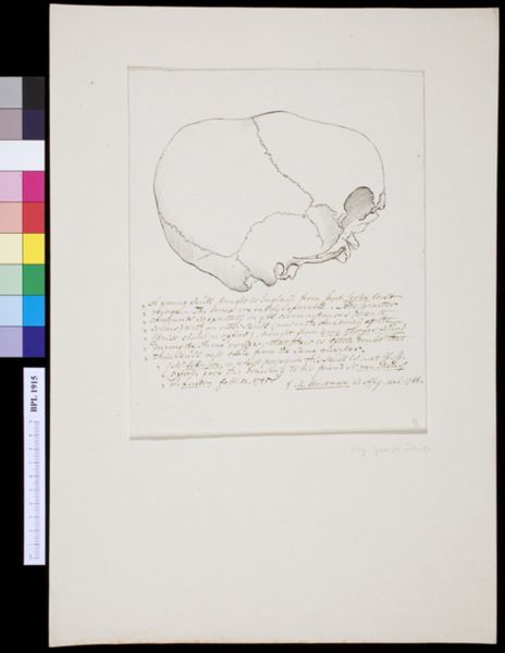 M Houtman, Skull