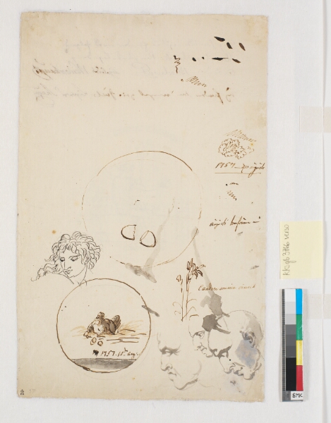 Nicolai Abildgaard, Forskellige udkast, bl.a. af flere hoveder og en høne med to [?] placeret i en cirkel
