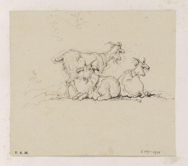 George Chinnery, Three goats