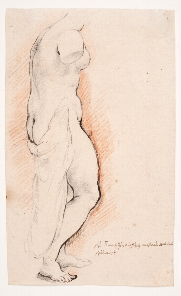 Willem Panneels, Antik statue af Venus, set fra højre