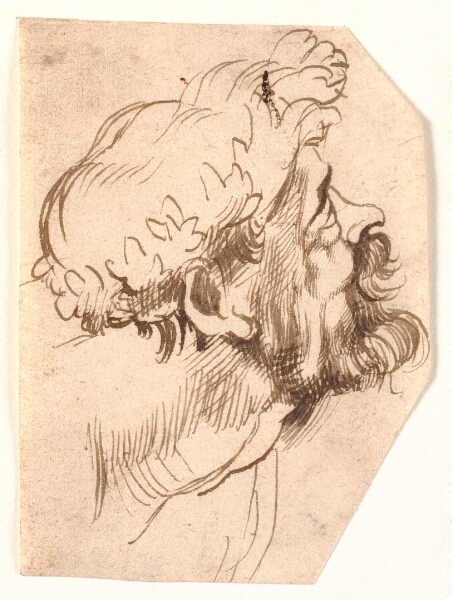 Peter Paul Rubens, Hovedet af en mand