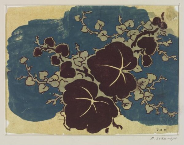 Unknown, Drawing