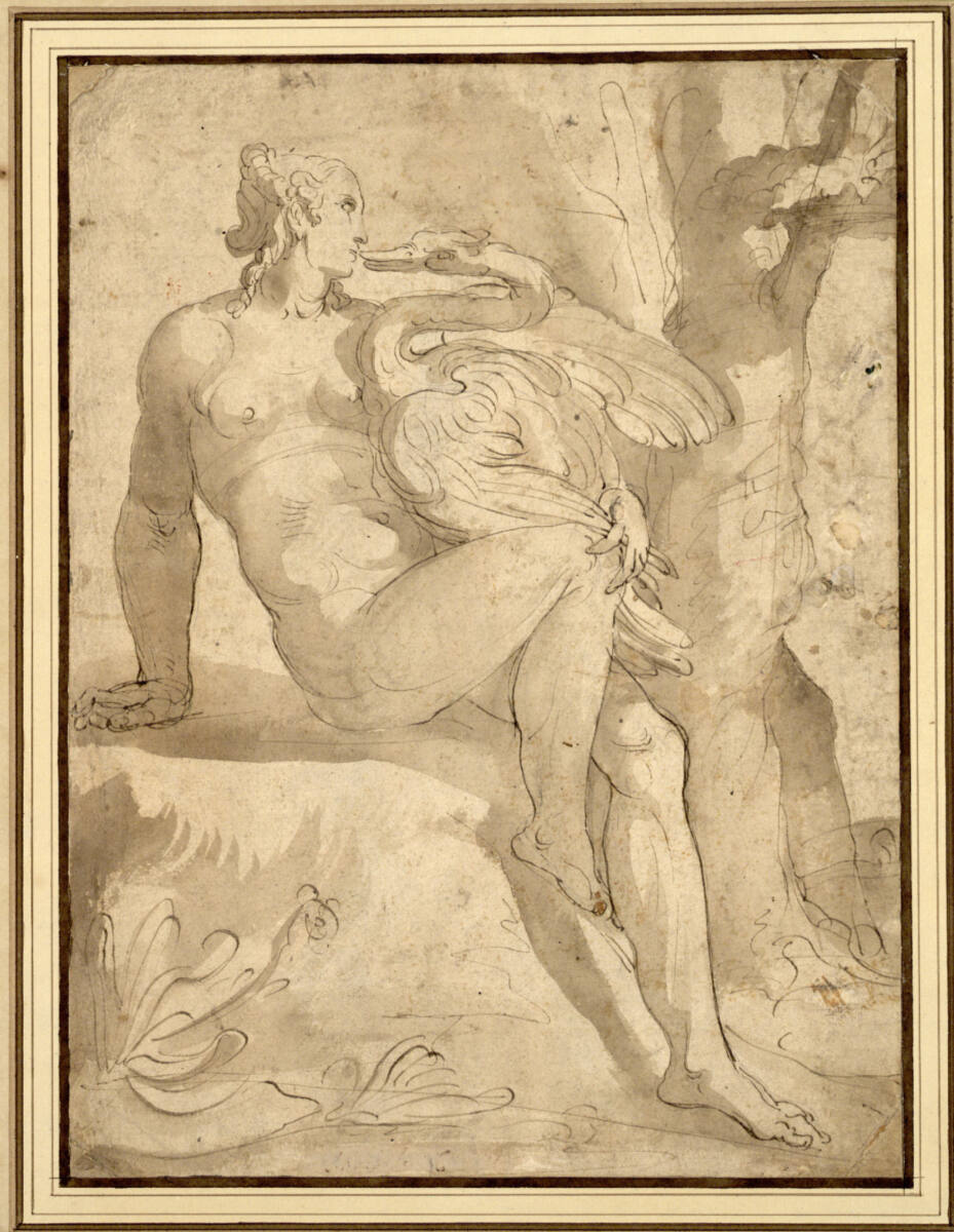 Anonym, Leda mit dem Schwan