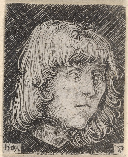 Albrecht Altdorfer, Head of a Young Man
