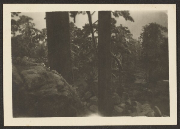 Louis Fleckenstein, [Landscape]