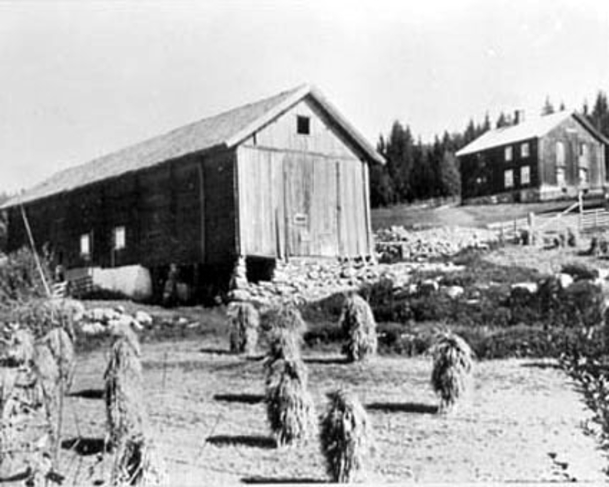 Anno Domkirkeodden, EKSTERIØR: GARDSBRUK. TØSTI STORE, STOR TØSTI, KORNSNES I FORGRUNNEN, VALLSET,