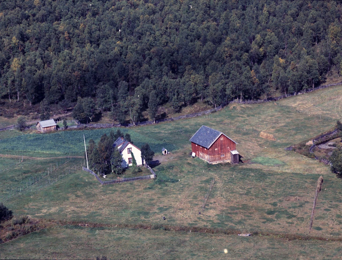 Widerøes Flyveselskap A/S, Gårdsbruk.