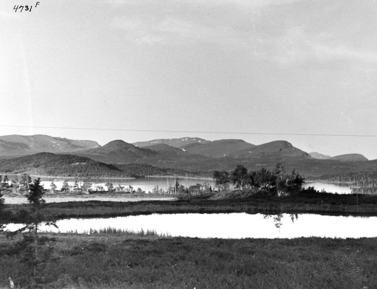 Anders Beer Wilse, Topografi