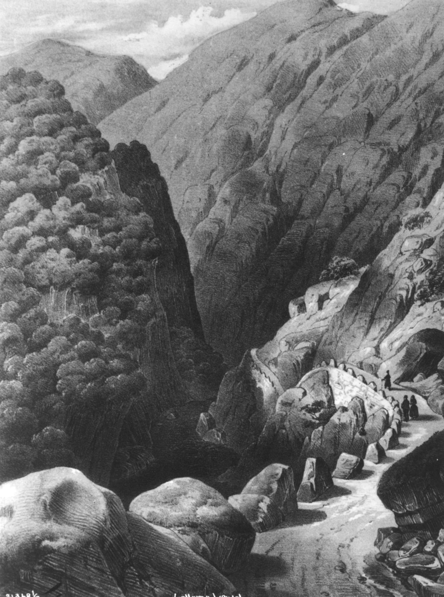 Anders Beer Wilse, Topograf