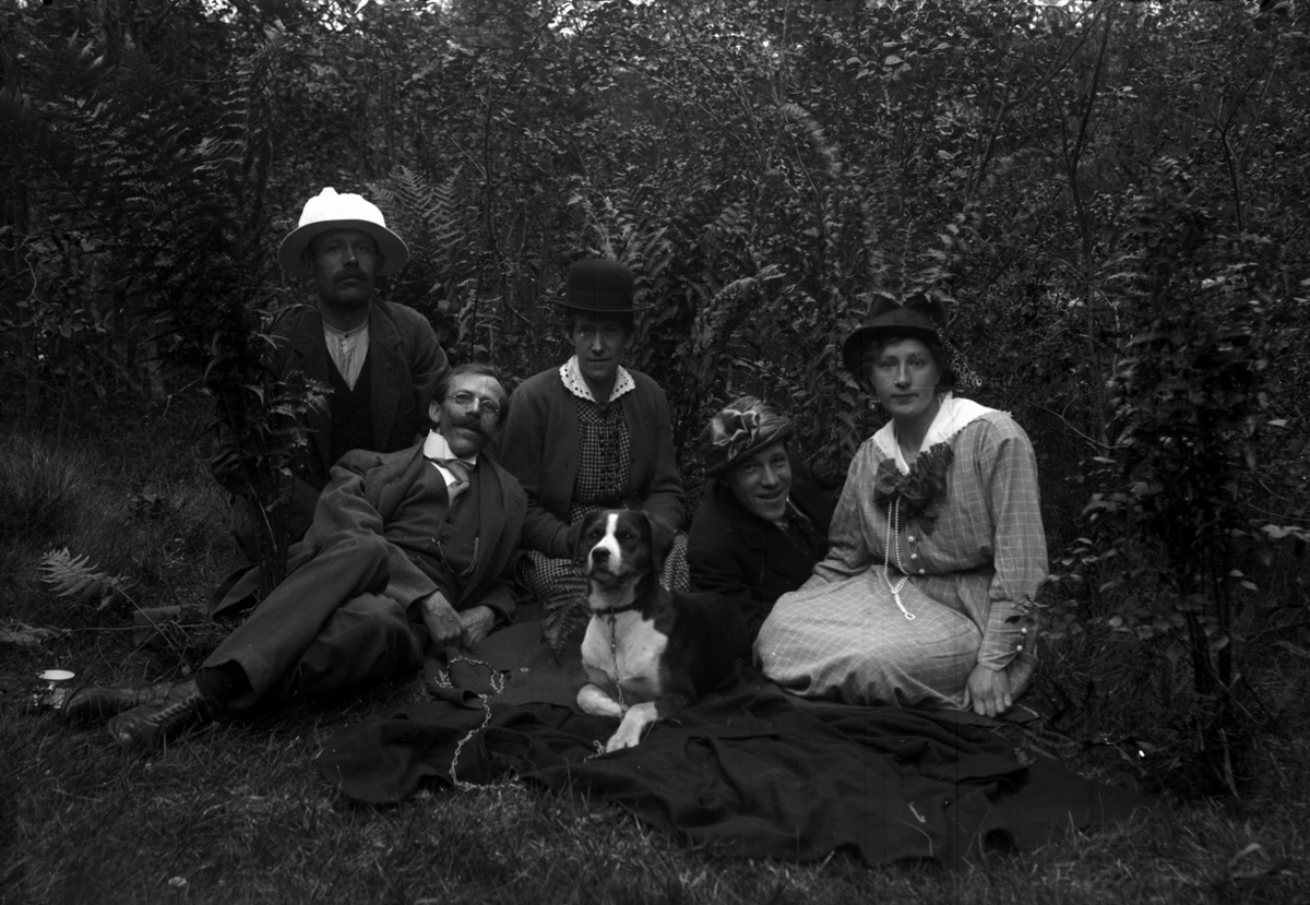 Ester Pettersson, Five people and a dog in the moongrass.