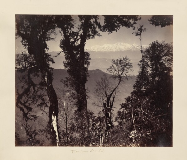 Unknown, View from Senchal