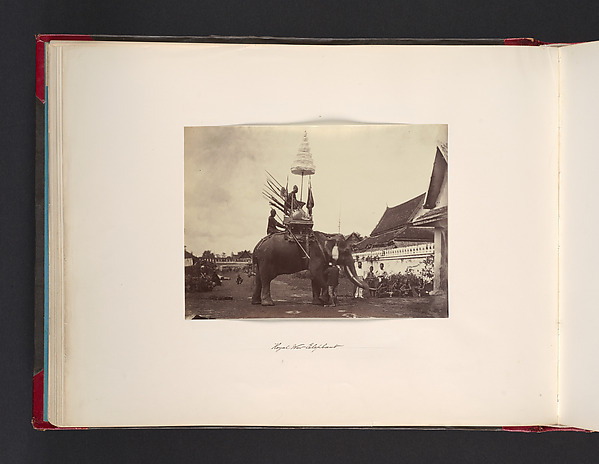 John Thomson, Royal Wat Elephant
