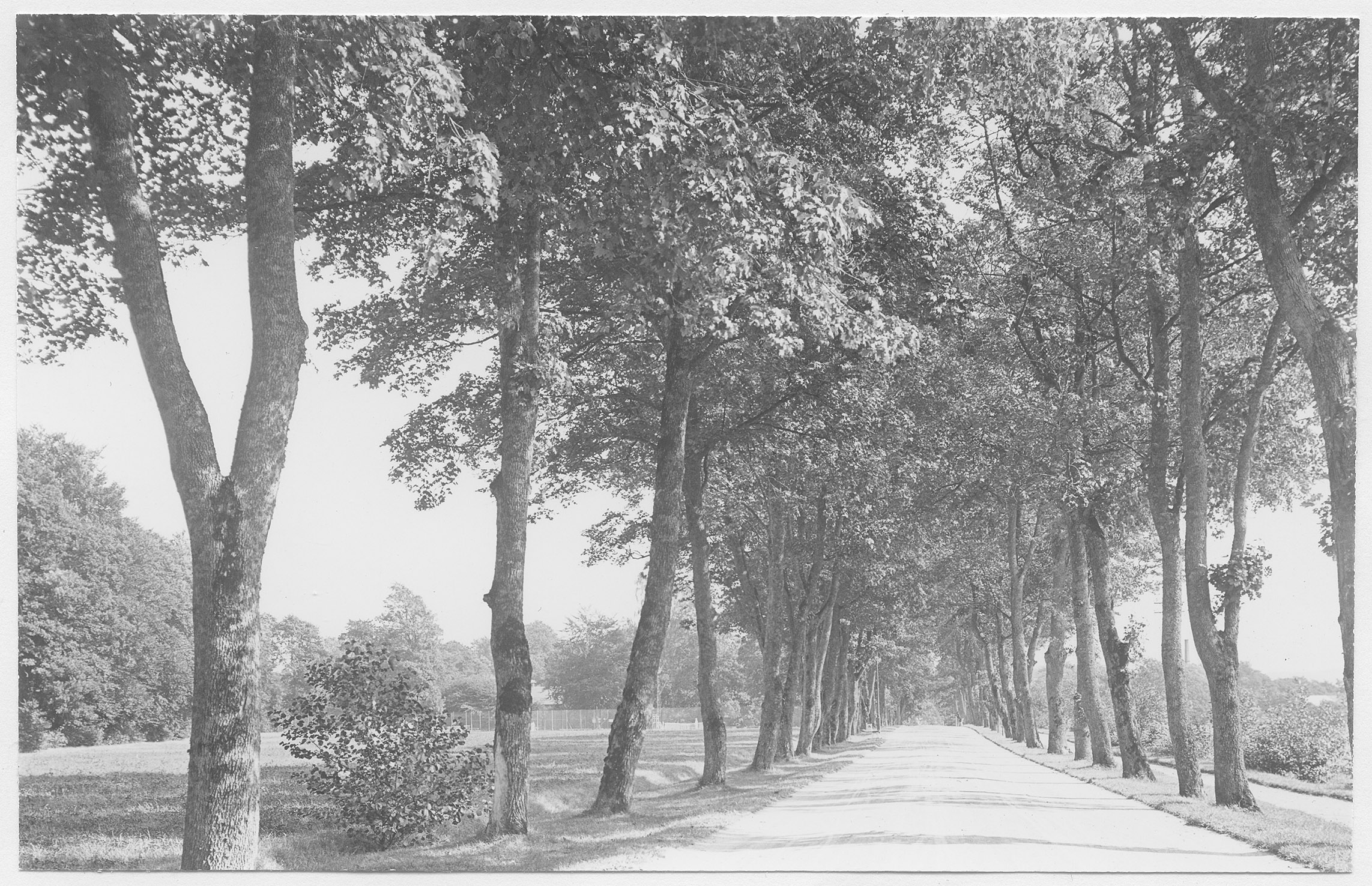 Mårten Sjöbeck, Nolhaga herrgård