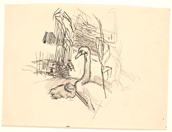 Fritz Syberg, En svane med ælling