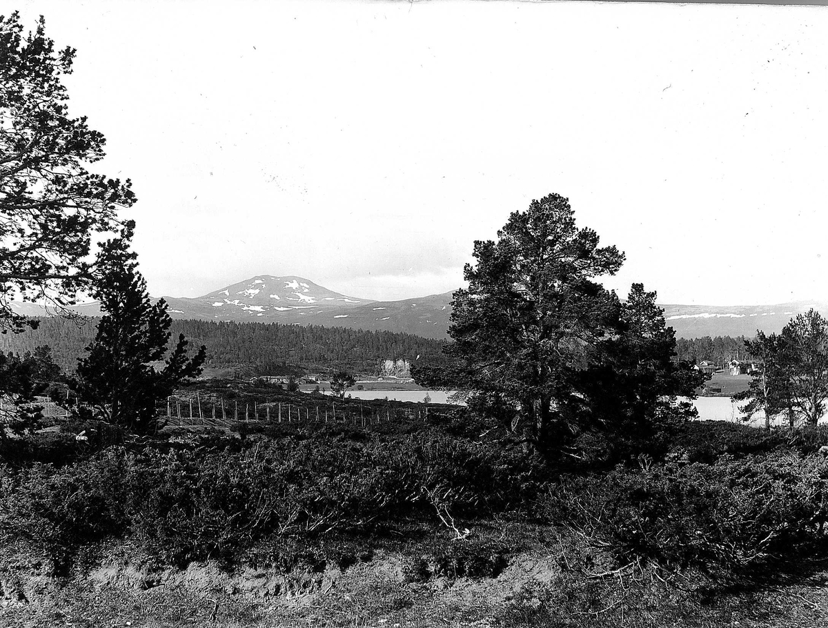 Robert Collett, Landskap, skog- og fjellområde med bebyggelse i bakgrunnen, ukjent sted. Skigard. Serie tatt av Robert Collett (1842-1913), amatørfotograf og professor i zoologi.