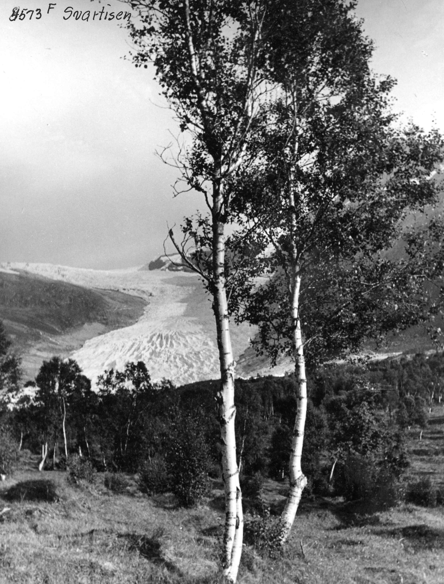 Anders Beer Wilse, Topografi