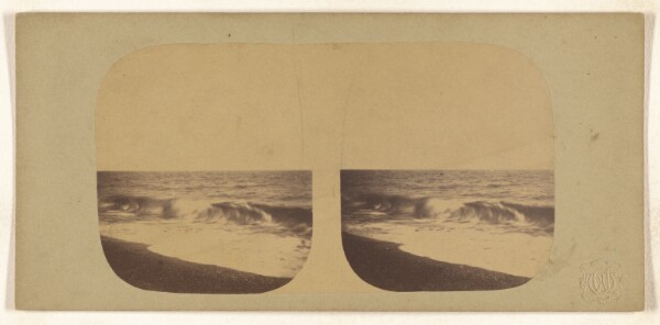 Unknown, "What are the wild waves saying?"