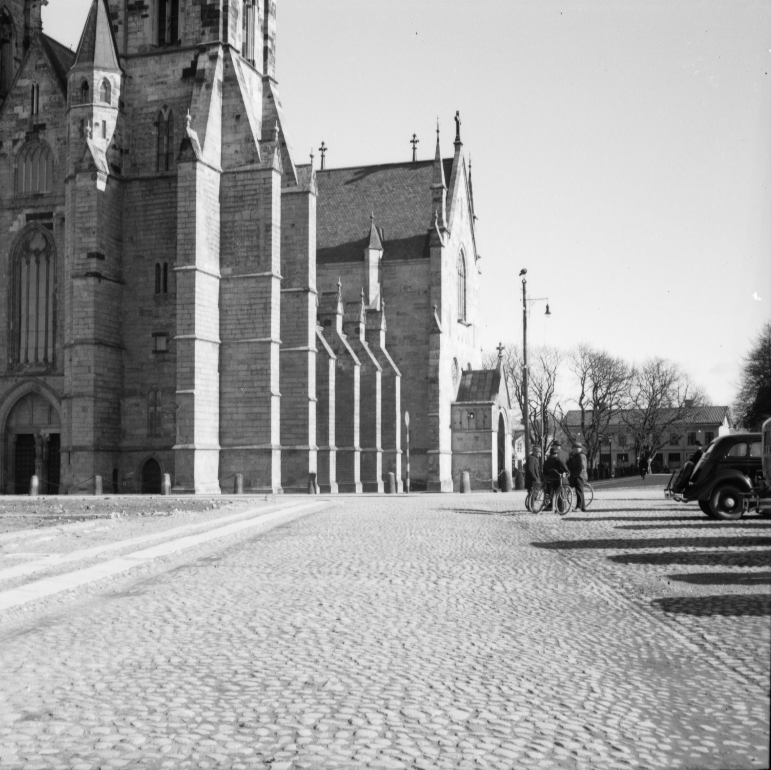 E. Lundberg, Skara domkyrka (Sankta Maria kyrka)