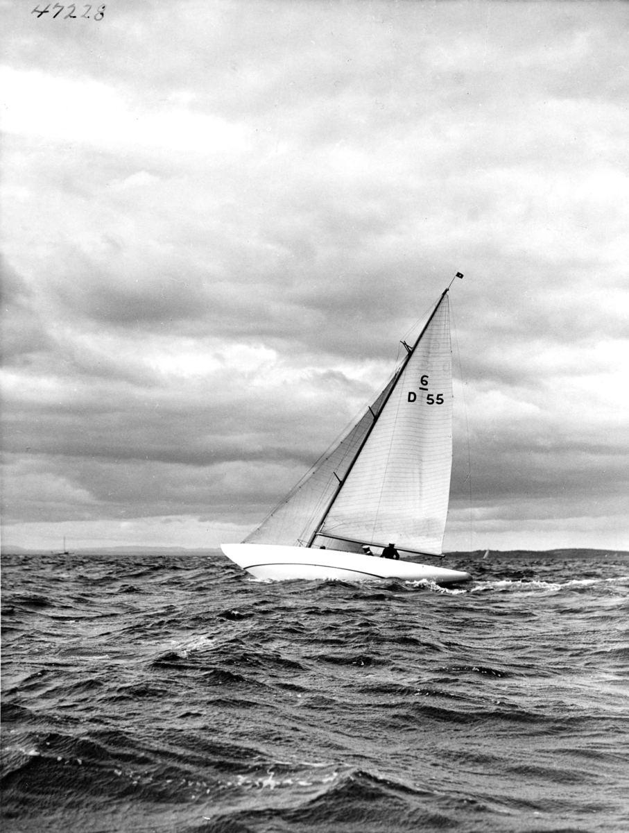 Anders Beer Wilse, Seilsport
