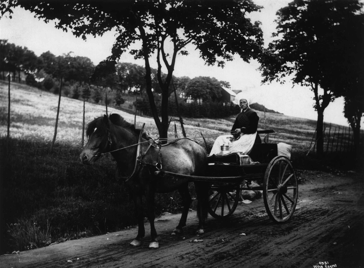 Anders Beer Wilse, Stolkjerre