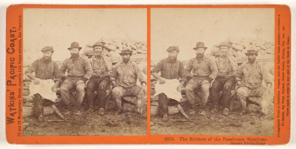 Carleton Watkins, The Robbers of the Farallones, Farallone [sic] Islands, Pacific Ocean.