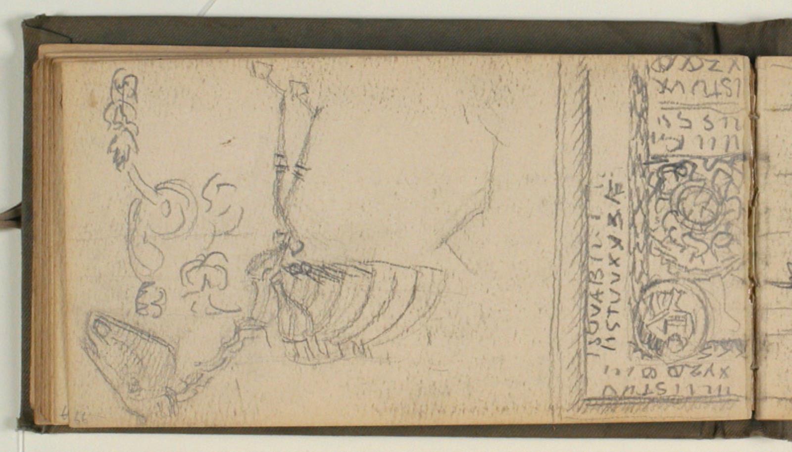 Niels Larsen Stevns, Studie af ornamenter og et æselskelet
