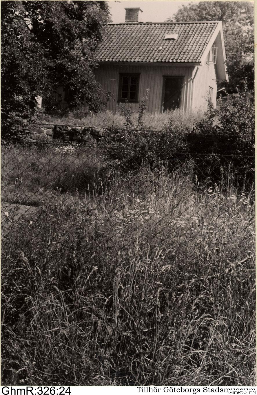 Otto Thulin, fotografi, bilder