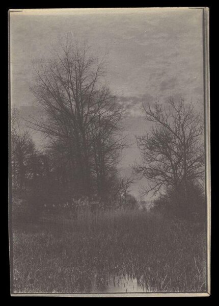 Gale, Lt. Col. Joseph, Landscape