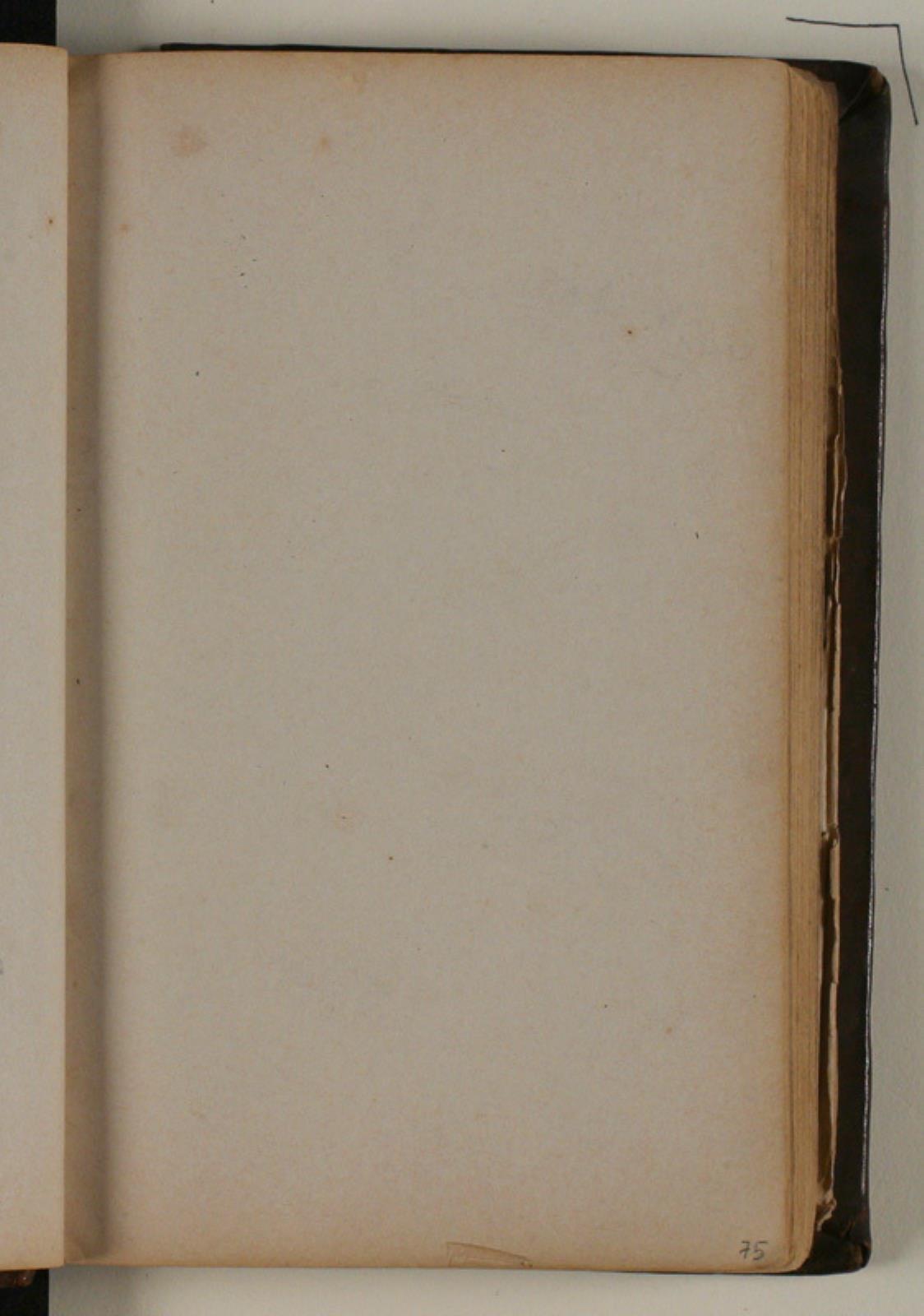 Niels Larsen Stevns, Blank