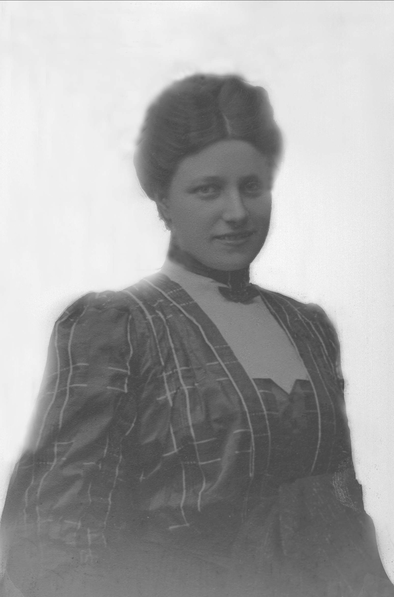 Gustav Borgen, Avfotografering.