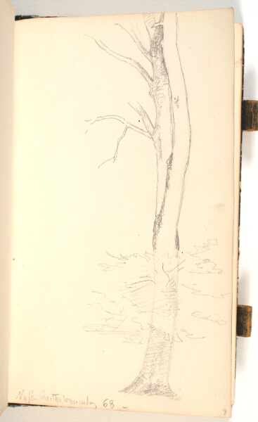 P.C. Skovgaard, Træstamme