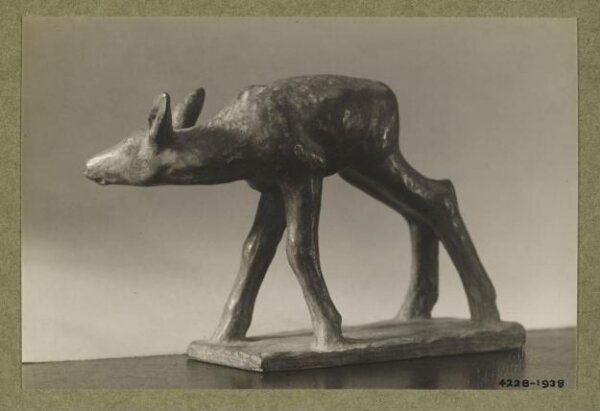 unknown, Photograph