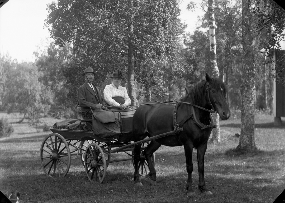 Gustaf Ferdinand Hallberg, Häst spänd för vagn, ett par.