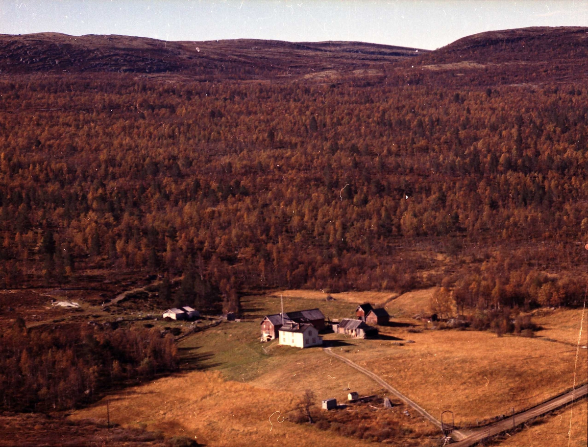 Widerøes Flyveselskap A/S, Gårdsbruk.