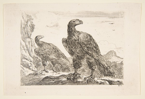 Stefano della Bella, Two eagles, from 'Eagles'  (Les aigles)