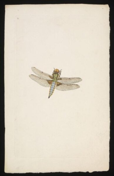 Unknown, Print