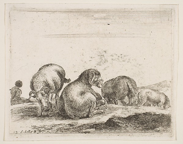 Stefano della Bella, Sheep and ram in a pasture, plate 12 from "Various Animals" (Diversi Animali)