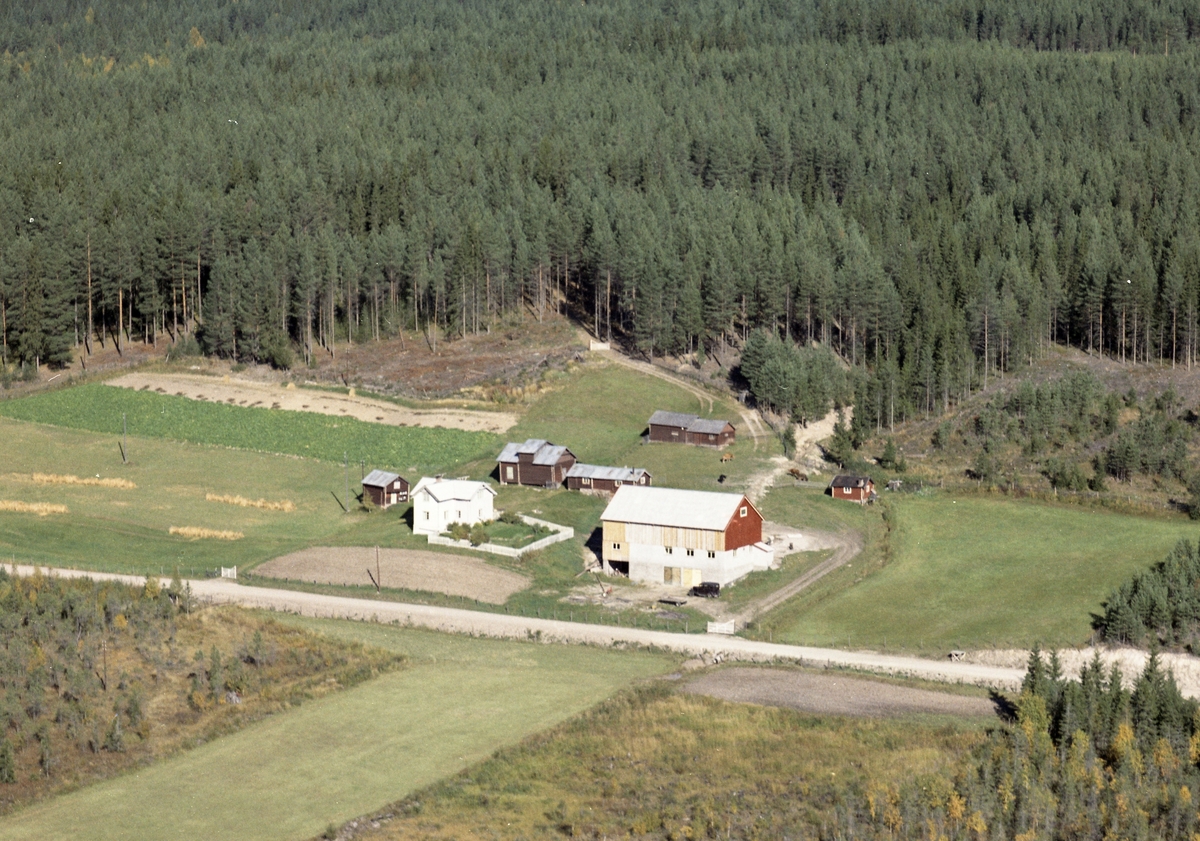 Widerøes Flyveselskap A/S, Gardsbruk