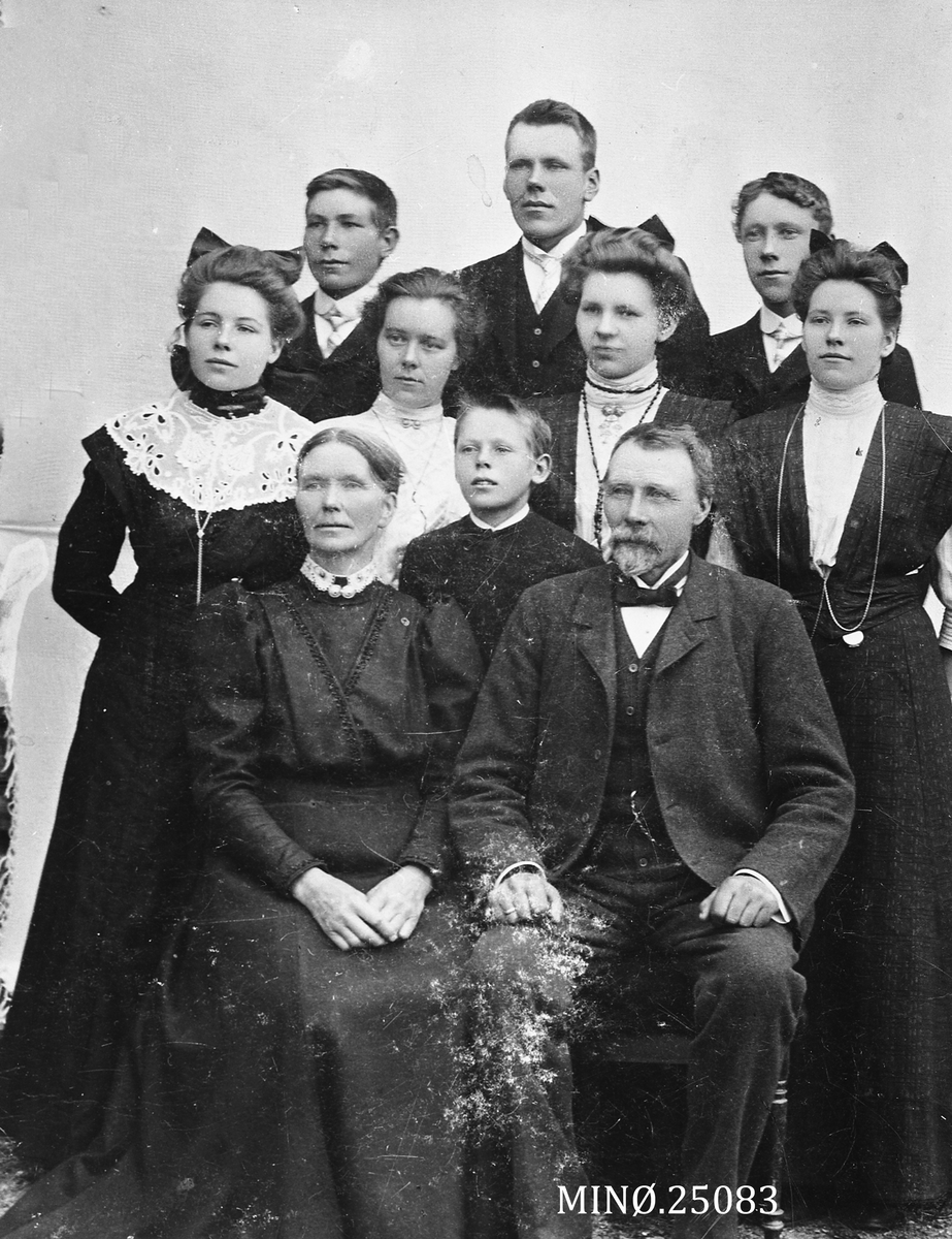 Henrik Augustinsson Stinessen, Familiebilde