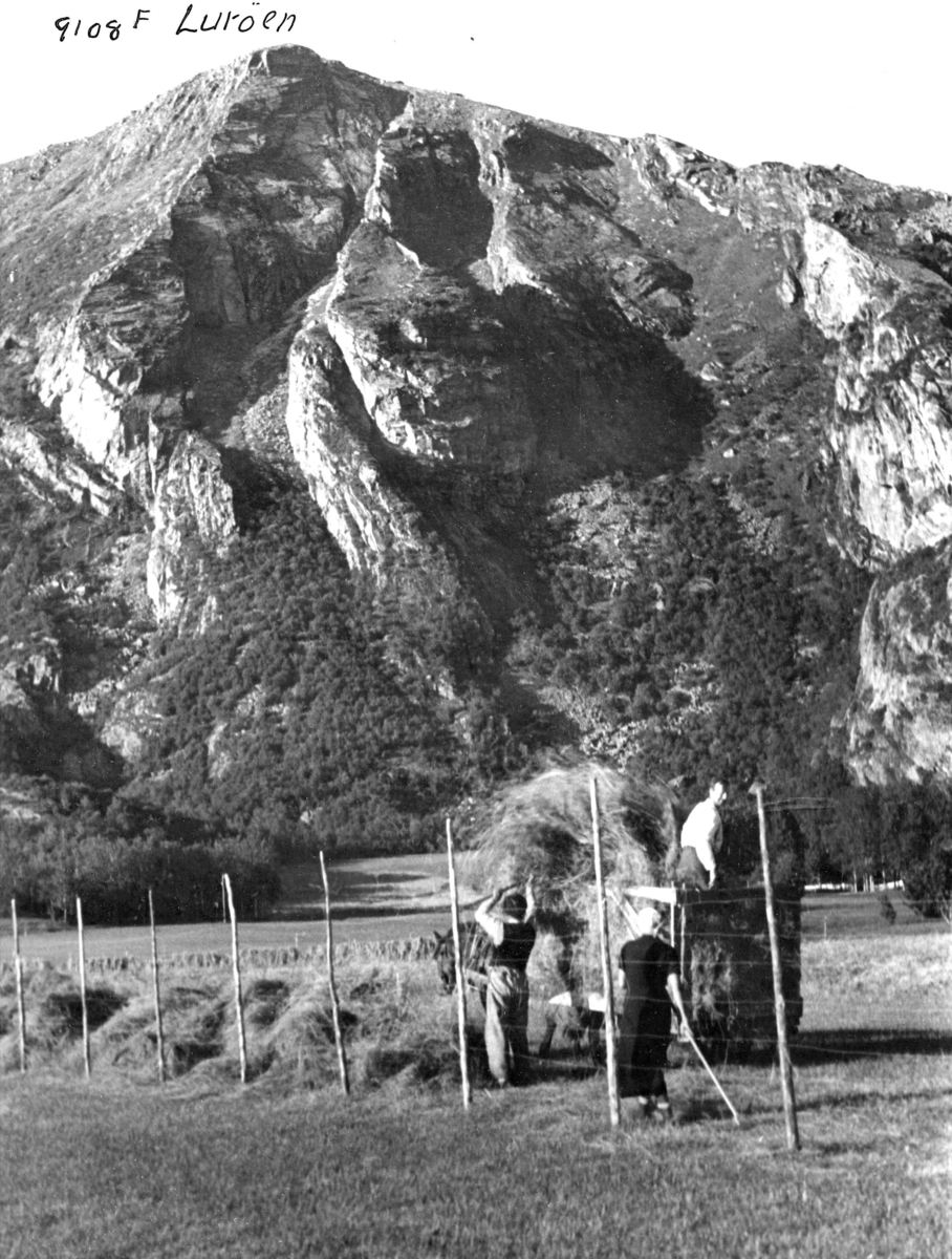 Anders Beer Wilse, Topografi