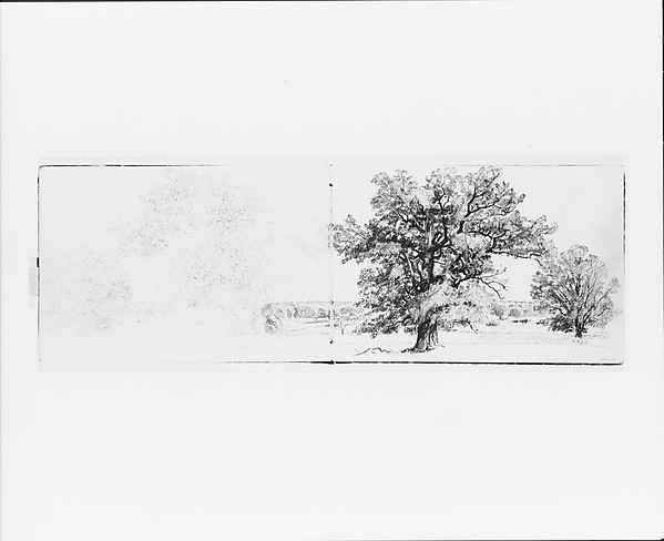 William Trost Richards, Outline of Trees and Terrain (from Sketchbook VII)