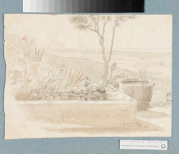 Unknown artist, Blick auf den Golf von Neapel mit Kakteen