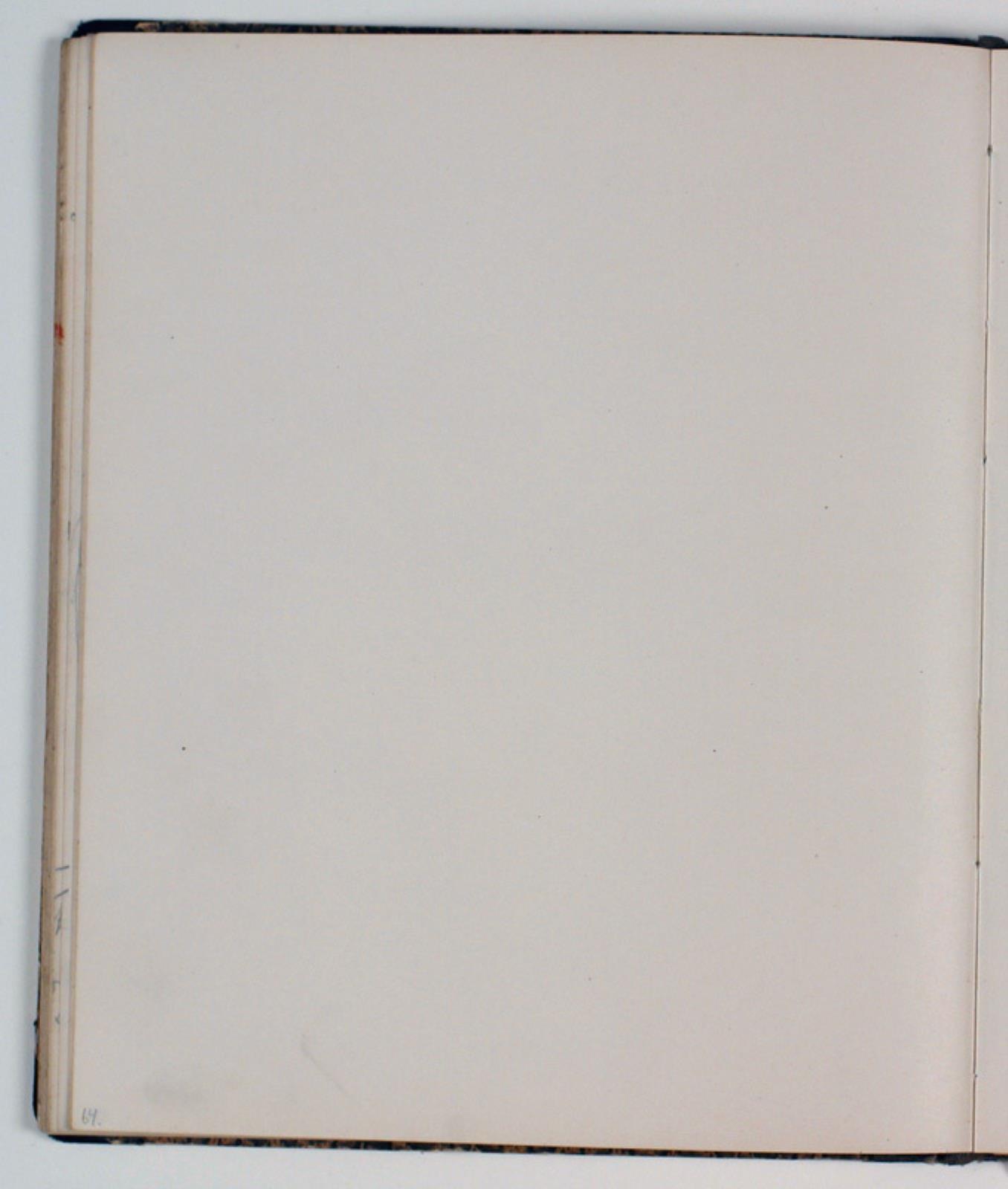 Niels Larsen Stevns, Blank