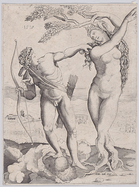 Agostino Veneziano (Agostino dei Musi), Apollo and Daphne
