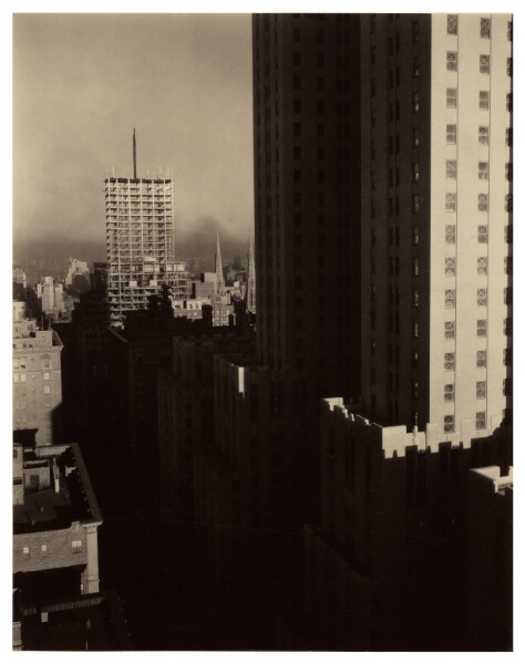 Alfred Stieglitz, From the Shelton