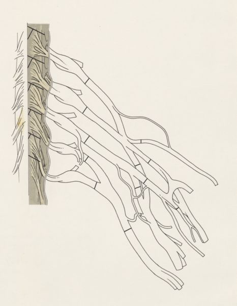 J Tinkelenberg, Schematic representation of the central nervous system