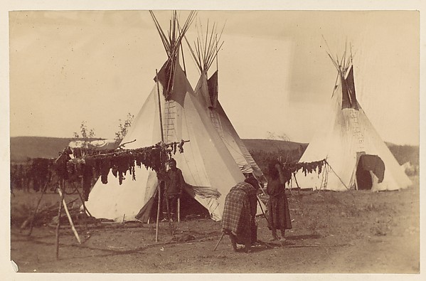 Unknown, [Native American Woman in Camp with Racks of Drying Meat]
