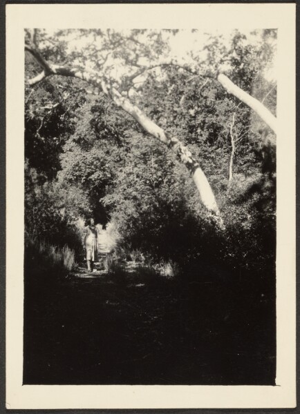 Louis Fleckenstein, [Woman on Path in Woods]