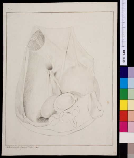 M Houtman, Kidneys?